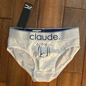 Project Claude briefs
